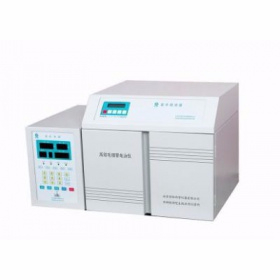 高效毛細(xì)管電泳儀紫外檢測 CL1030