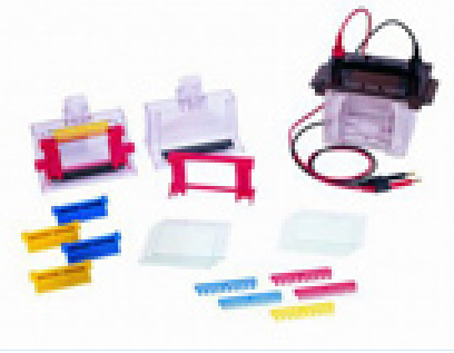 垂直電泳槽 VE-180