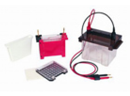 轉(zhuǎn)移電泳槽 VE-186