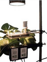 教學(xué)實(shí)驗(yàn)光合作用儀 PH1LP