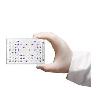 手動(dòng)微生物鑒定系統(tǒng) Microlog M