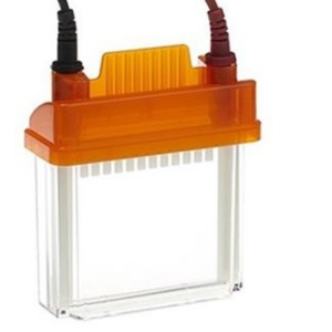 EZ-PAGE 一體化凝膠電泳系統(tǒng) P0001