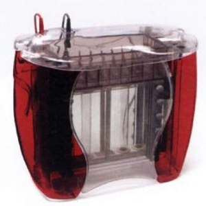 控溫式標準垂直電泳儀 SE600CHROMA