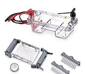 Sub System 水平電泳槽 E0350