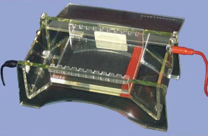 水平電泳槽 JS-360A