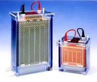 電泳印跡系統(tǒng) EBU系列