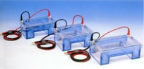 中型水平式電泳槽 MGU-T系列