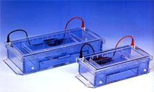 潛水/水平電泳槽 SGU-T系列