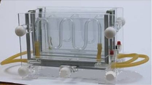 雙板夾芯垂直電泳槽 WS-DB6