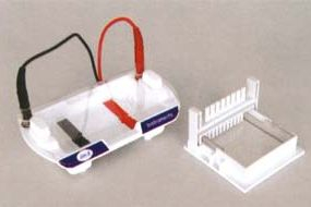 超小型水平電泳槽 HM—Ⅱ