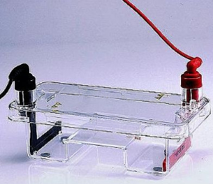 迷你水平電泳槽 1011000