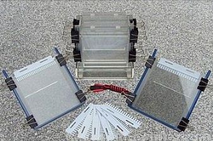 雙垂直電泳槽 XH-CZ05