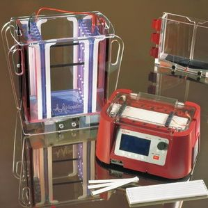 雙向蛋白電泳 IEF-100 套裝