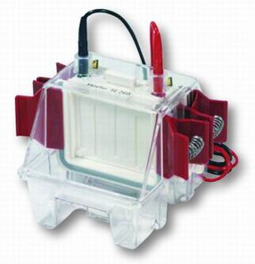 小型水冷垂直電泳 SE250