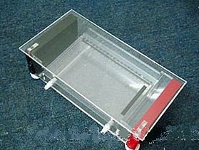 瓊脂糖水平電泳槽 DG-31CN