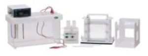 變性梯度凝膠電泳系統(tǒng) JY-TD331