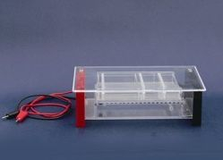 瓊脂糖水平電泳槽 RDY-SP6