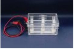 蛋白回收電泳槽 RDY-HS1