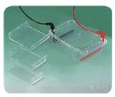 Wealtec電泳槽 Mini-GES