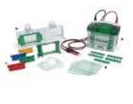 Sequi-Gen GT IPC測序電泳槽 165-3881