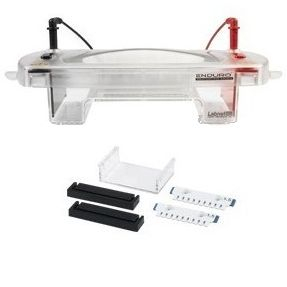 Enduro水平電泳系統(tǒng) E1007