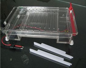高通量水平電泳槽 HT-SUB04
