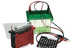 小型蛋白轉(zhuǎn)印槽 mini Trans-Blot