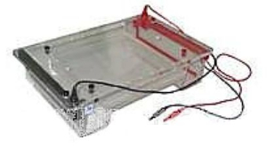 水平電泳槽 JY-SP12