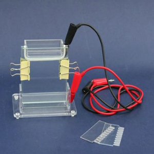 單板垂直電泳槽 CC-B