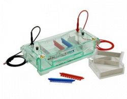 三變膠水平電泳 TVG-SYS