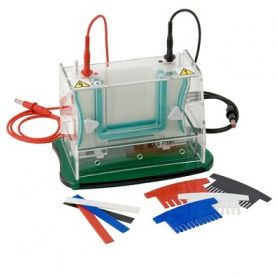 單板迷你垂直電泳 TV50