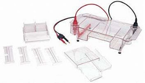 多功能水平電泳槽 HE-120