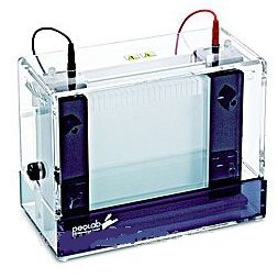 垂直電泳槽系列 PerfectBlue