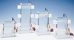 經(jīng)濟(jì)型垂直電泳槽 LITE