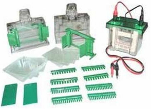 雙垂直電泳槽 MLBL-Mini3