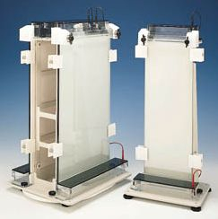 垂直微型電泳槽 C.B.S.Scientific