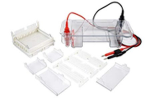 水平核酸電泳槽 DYC-SUB2