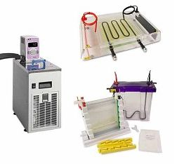 雙向電泳系統(tǒng) IEFPage