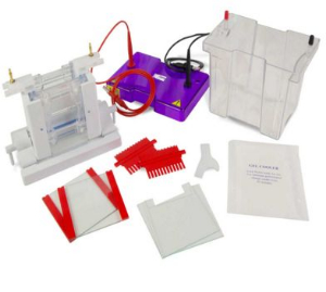 垂直電泳槽 CUS10DSYS-CU