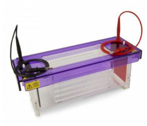 高通量水平電泳槽 CSL-MULTISUB4