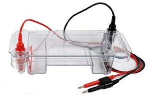 水平電泳槽 Hini100