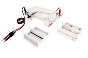 水平電泳槽 HD-3541