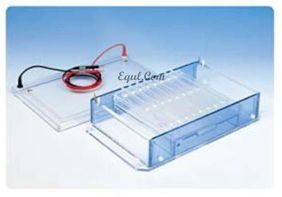 高通量水平電泳 E-SGU