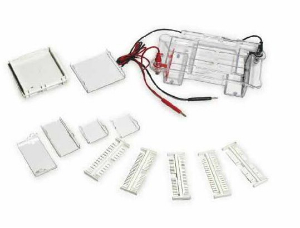 水平電泳槽 YR-158